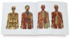 Images of the Human Body