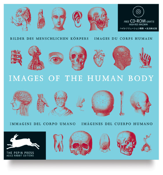 Images of the Human Body