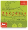 Bacteria
