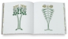 Fancy Designs 1920