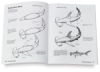 Draw! Ocean Animals