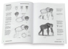 Draw! Rainforest Animals