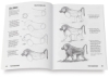 Draw! Grassland Animals