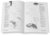 Draw! Insects
