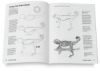 Draw! Desert Animals