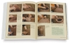The Potter's Complete Studio Handbook