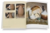 The Potter's Complete Studio Handbook
