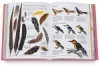 Complete Book of Art Ideas