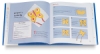 Asian Kites Book