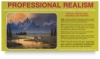 Professional Realism, Set of 5 VHS Tapes