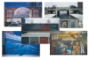Murals