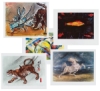 Of Animals and Birds