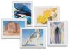 The Georgia O'Keeffe Collection