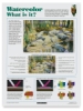 Poster 1: What is it?