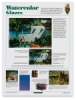 Poster 4: Glazes