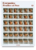 Profiles and Pots