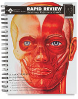 Anatomy from Dick Blick