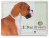 Dog Breeds: An Illustrated Guide