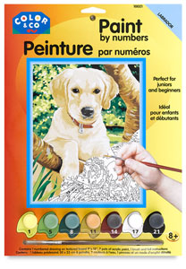 Labrador