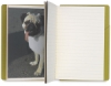 Essex Travel Book, Chocolate/Chartreuse