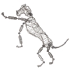 Rover the Doodles Dog Manikin