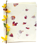 Natural Twig Journals