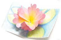 Waterlily Origami 

Pop-Up Card