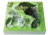 Preserving 

Flowers and Other Organics in Acrylics