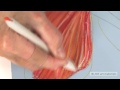 Caran d'Ache Neopastels