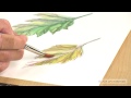 Caran d' Ache Pablo Colored Pencils